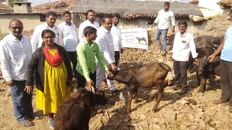 Livestock should be increased for human survival: Former MLA Bhupal Reddy
