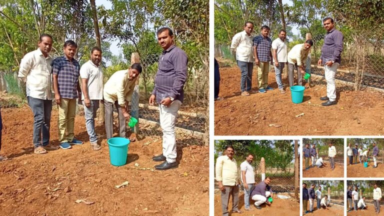 MEO Prathapara Reddy started the kitchen garden